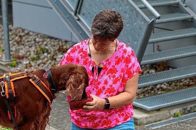 Nachdem die vermisste Person gefunden wurde, gibt es eine besondere Belohnung für Suchhündin Lynn.