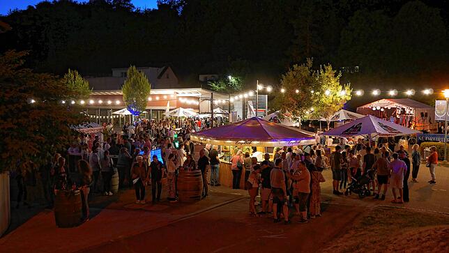 Bild 21: Bezirksmusikfest in Hohentengen – das Abendprogramm