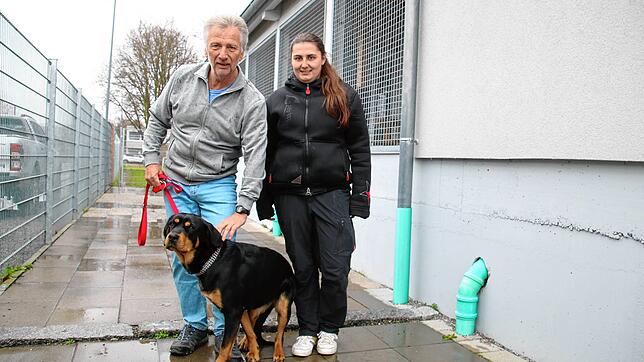 Ganz schön eng hier im Tierheim des Tierschutzvereins Radolfzell: Vorsitzender Berthold Keller hat Hund Bella, den zwei Jahre alten ...