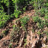 Aus diesem Hang hat sich die Lawine aus Geröll, Schlamm und Felsen gelöst.