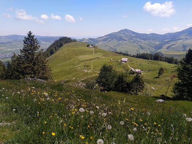 Für Talwanderungen bietet sich die sanfte Hügellandschaft im Herzen des Alpstein optimal an. Dabei stehen auch verschiedene ...