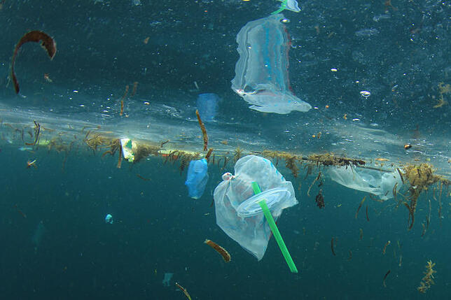 Riesige Müllstrudel mitten im Ozean – wie gefährdet ist der blaue Planet? Und was macht dieser Müll mit uns, beim Baden im Meer, mit dem ...