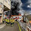 Bild :