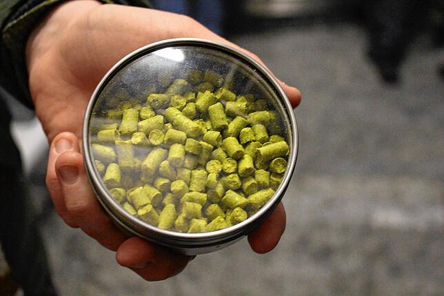 Hopfenpellets lassen sich besser lagern als die reine Dolde der Pflanze.