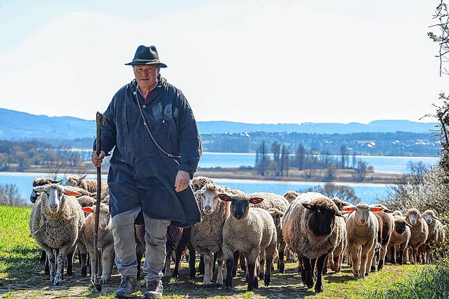 Peter Blum mit seiner Schafherde.