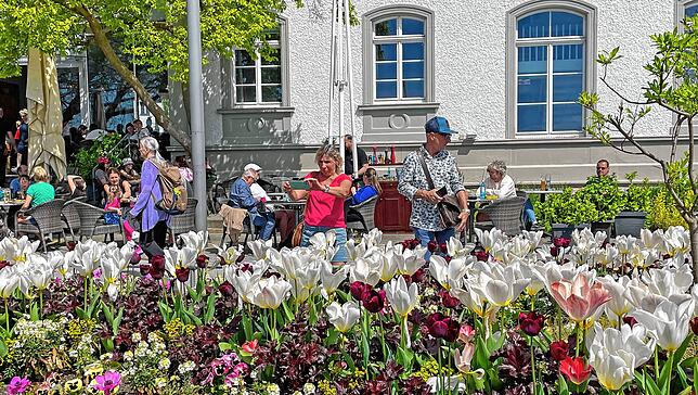 Ein Hauch von Mainau: Die attraktiven Tulpenbeete waren beliebte Fotoobjekte.