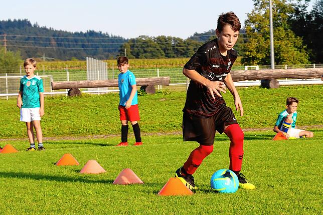 Bild 22: Auch die Jugendfußballer starten in die Saison. Wir haben Bilder vom E-Jugendtraining des SV Allensbach!