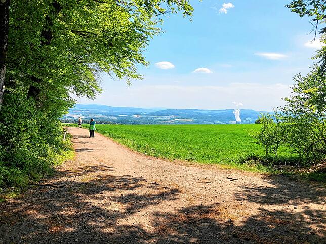 Bild 9: Wandern vor der Haustür (Teil 2): Vom Eschbacher Wasserschloss zum Pusteblumen-Paradies