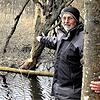 Der knorrige alte Baum zeigt zahlreiche Bissspuren, auch an Ästen in luftiger Höhe. Der Biber hat hier tatkräftig Unterstützung, ...