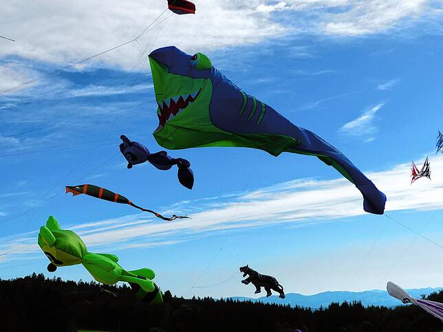 Bild 24: Bilder vom 11. Familien-Drachenfest auf dem Flugplatz in Hütten