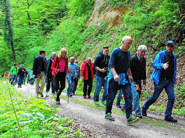 Der neunte Premiumwanderweg &bdquo;Albertine-Steig&ldquo; führt auf den Schienerberg.