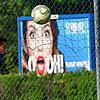 Bild :