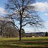 Blick auf die Wiese an der Lorettokapelle (links). Hier sollen, entlang der Straße &bdquo;An der Hammerhalde&ldquo; im rechten ...