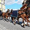 Ein fester Bestandteil des Reitturnieres ist der Umzug durch Donaueschingen. Die Planungen dafür sind bis auf Weiteres eingestellt.