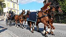 Ein fester Bestandteil des Reitturnieres ist der Umzug durch Donaueschingen. Die Planungen dafür sind bis auf Weiteres eingestellt.
