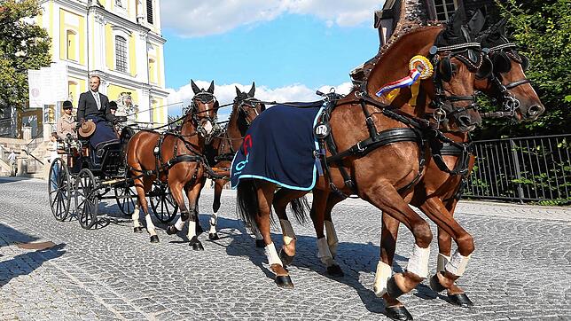 Ein fester Bestandteil des Reitturnieres ist der Umzug durch Donaueschingen. Die Planungen dafür sind bis auf Weiteres eingestellt.