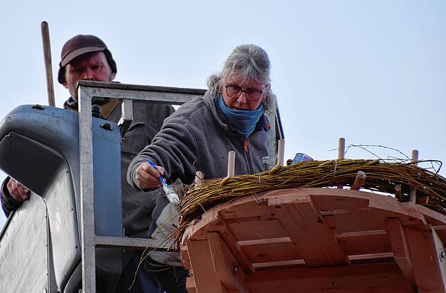 Die Storchenbeauftragte Astrid Wochner bestreicht Teile des Weidenkranzes mit weißer Farbe, damit das Nest benutzt aussieht.