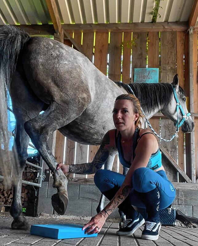 Sabrina Gutt fährt mit ihrer mobilen Praxis oft in Ställe und auf Höfe und behandelt Pferde. Hier die vollblut Araber Stute namens Khayaali.