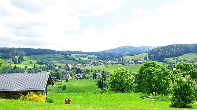 Die Bernauer Tourismusbranche kann zufrieden auf das vergangene Jahr blicken. 2025 könnte es neue Impulse durch die Teilnahme an einem ...