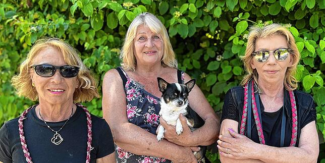 (Von links nach rechts) Barbara Menge, Monika Beil und Brigitte Mairhofer gehen regelmäßig an der Bleicherstraße mit ihren Hunden spazieren.