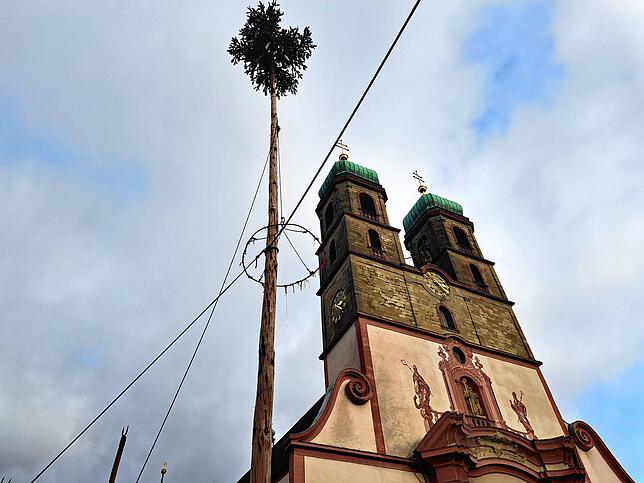 Der Narrenbaum steht.