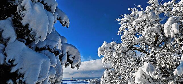 Bild 29: Was für ein Wintereinbruch am Bodensee: Die schönsten Schnee-Bilder vom Wochenende
