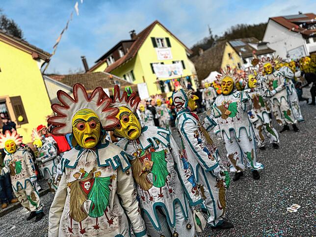 Bild 41: Spaß beim VHN-Narrentreffen: Bilder vom Umzug (1)