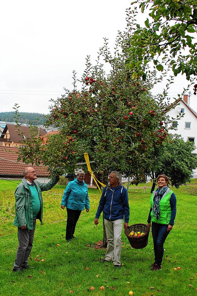 Der pensionierte Pfarrer Erwin Roser (von links), Pfarrgemeinderätin Birgit Greif sowie Peter und Luzia Baumann lesen im Pfarrgarten in ...