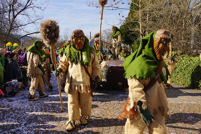 Bild 17: 43. Küssaberger Narrentreffen: Märchenhafte Fasnacht in Rheinheim