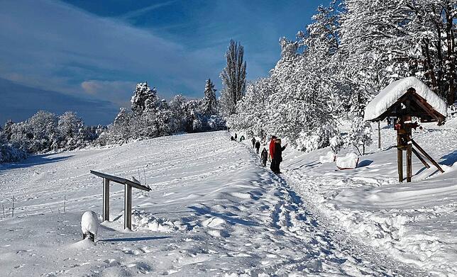 Bild 6: Immer noch überall Schnee: Der SÜDKURIER zeigt die schönsten Bilder der vergangenen Tage