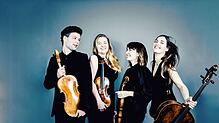 Das vielfach ausgezeichnete Barbican Quartett tritt am 24. Februar im Franziskaner auf. Foto: Grilc