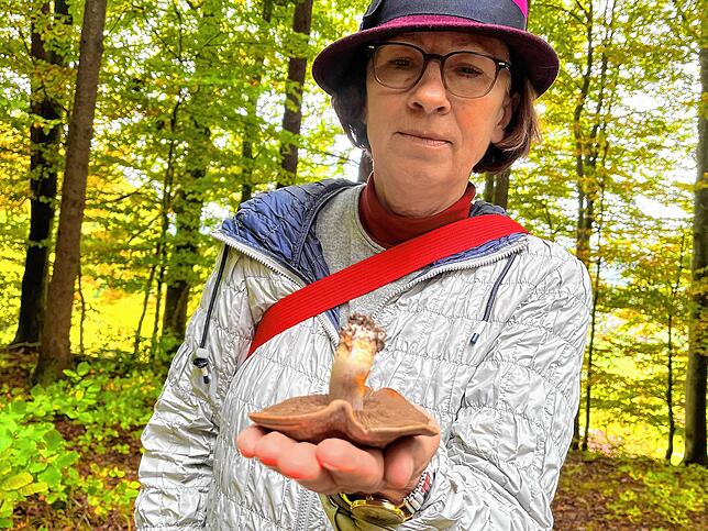 Der Schleierling/Cortinarius enthält Orelanin, ein Nervengift. Man erkennt ihn am rostroten Sporenpulver, an braunen Lamellen und ...