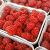 Die in Himbeeren enthaltenen Gerbstoffe und Säuren unterstützen die Leber bei der Entgiftung. Zitronensäure wirkt sich auf den ...