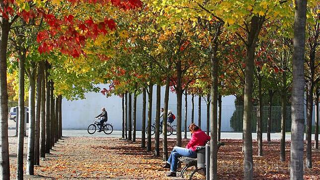 Mit dem Herbst beginnt die kalte Jahreszeit. Wir verraten, wie Sie das Immunsystem dafür stärken können.