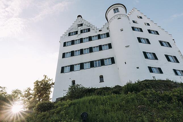 Das Schloss in Aulendorf gehört einer GmbH, deren alleiniger Gesellschafter die Stadt Aulendorf ist.