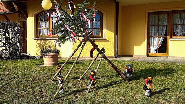 Wie 2021 ruft das Narrengericht wieder dazu auf, Weihnachtsbäume zum Narrebomm zu machen. Dieses Foto entstand vor einem Jahr.