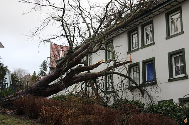 Sturm &bdquo;Sabine&ldquo; hat auch in St. Georgen viele Schäden angerichtet.