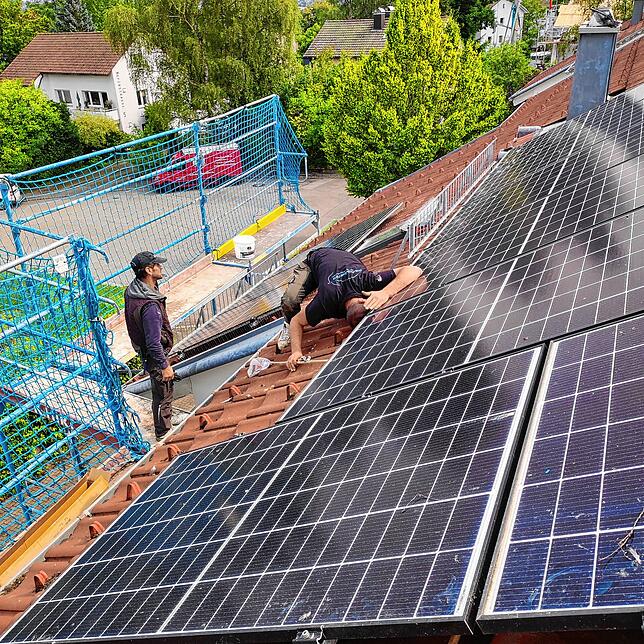 Mit Keschern versuchen die Helfer, die Tauben unter den PV-Modulen herauszuholen.