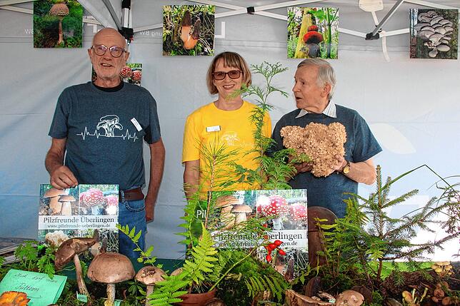 Sie beraten auf der Landesgartenschau (von links): Willi Müller, Elfriede Berwarth und Lorenz Hahn.