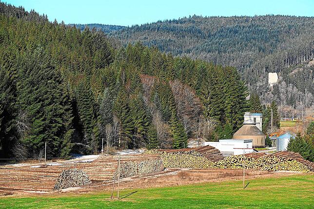 Das Archivbild zeigt die Situation vor einem Jahr: Damals umfasst das Holzlager neben der Kläranlage 12 000 Festmeter Sturmholz. ...