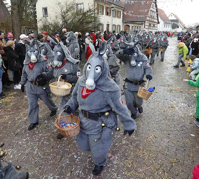 Bild 11: Bilder zum großen Narrentreffen in Pfohren (4)
