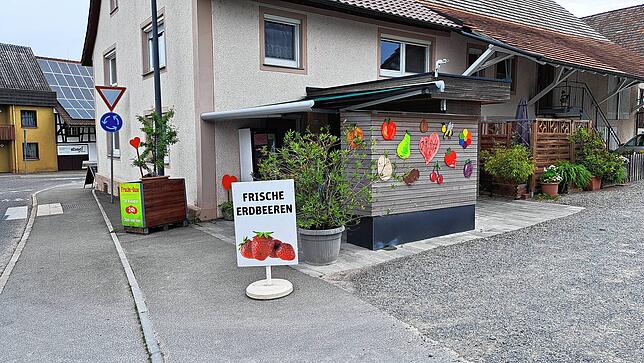 Am Automaten des Obsthof Rauscher in Unterraderach gibt es die 500-Gramm-Schale Erdbeeren für 4 Euro.