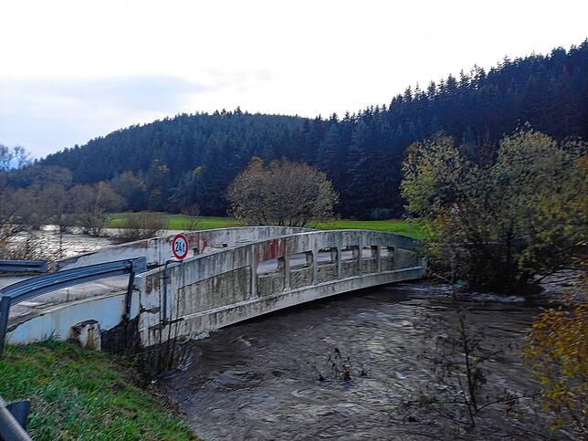 Bild 12: Hochwasser im Schwarzwald: Beeindruckende Bilder vom Dauerregen im Bregtal