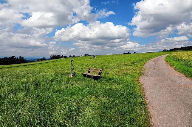 Das Hoheneck heute: eine landwirtschaftlich genutzte Fläche, die auch der Erholung dient.