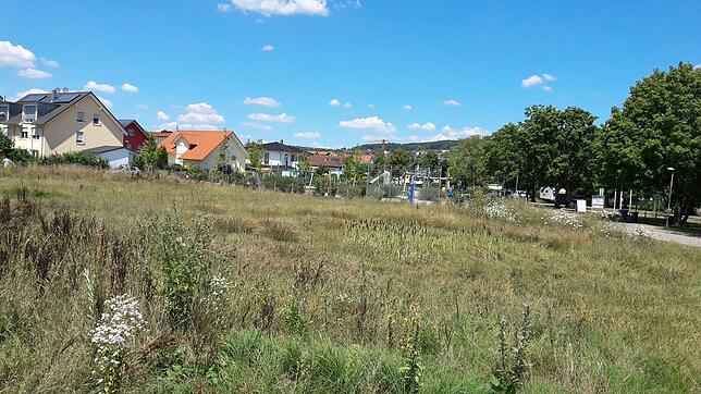 Auf dieser Wiese in Markdorf-Süd direkt neben dem Spielplatz (im Hintgergrund) wird ein Kindergarten für sechs Gruppen entstehen.