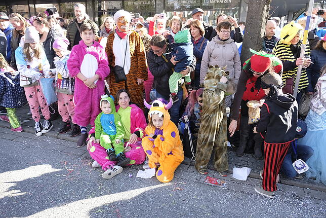 Bild 29: Bilder vom großen Fasnet Samschdig-Umzug der Poppele-Zunft (1)