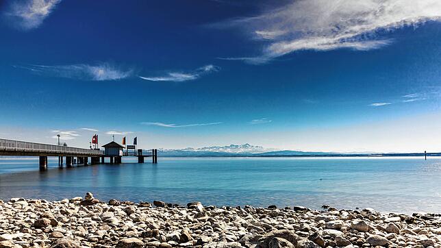Der Bodensee wird immer wärmer. Das hat Auswirkungen auf die heimischen Fischarten.