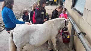 Das Pony Trixi hat viel Geduld beim Striegeln. Die Kinder gehen anfänglich noch recht zaghaft mit den Bürsten und den Kämmen zu Werke. ...
