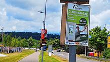 Die Plakatierung in der Pfullendorfer Innenstadt muss geändert werden. Die Plakate verschandeln das Stadtbild.
