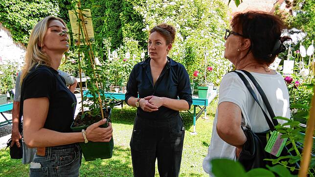 Anna Theiss (Mitte) berät Marlene (links) und Sabine Heubach aus Welschingen und Singen.